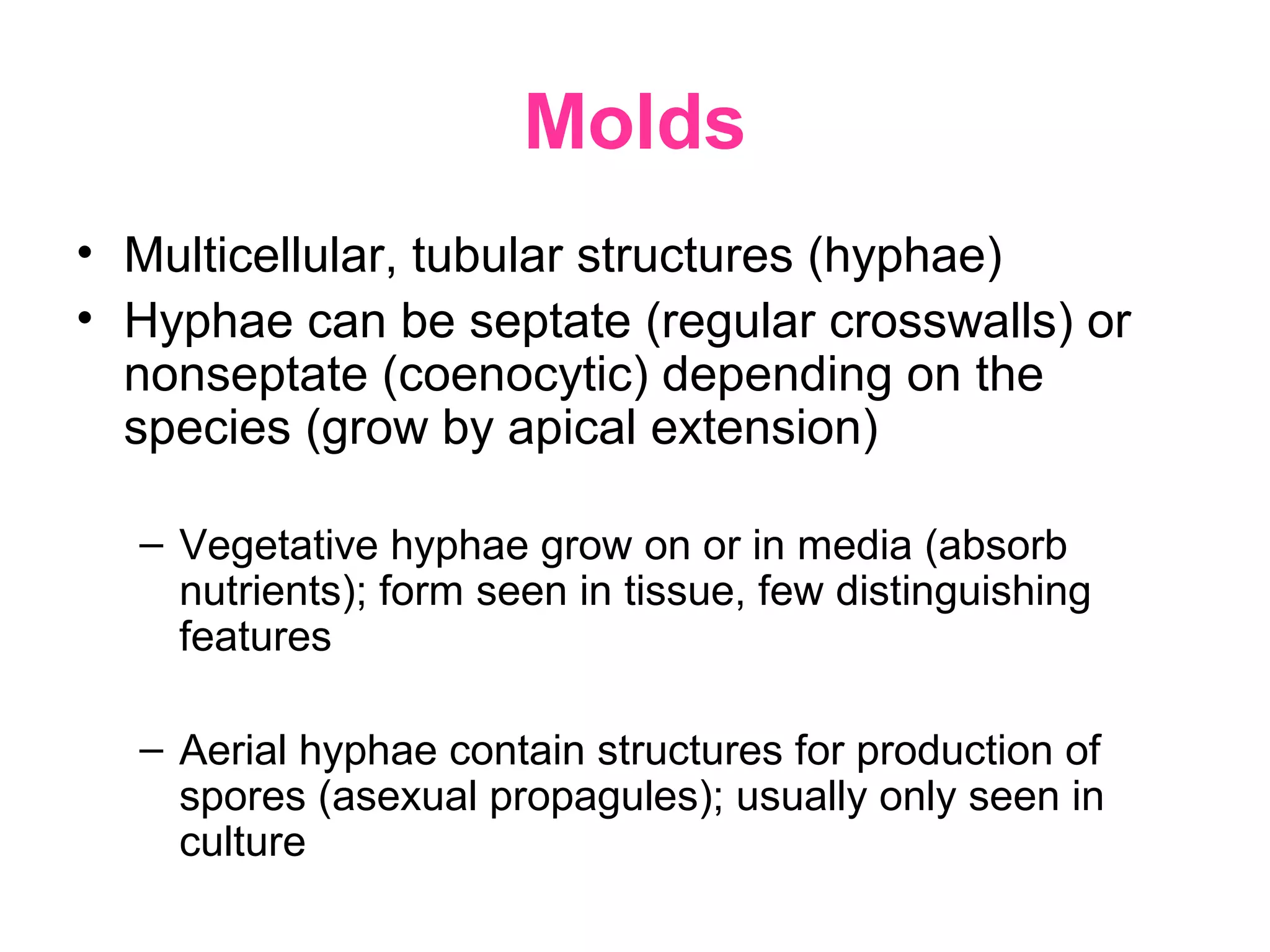 Molds
• Multicellular, tubular structures (hyphae)
• Hyphae can be septate (regular crosswalls) or
nonseptate (coenocytic) depending on the
species (grow by apical extension)
– Vegetative hyphae grow on or in media (absorb
nutrients); form seen in tissue, few distinguishing
features
– Aerial hyphae contain structures for production of
spores (asexual propagules); usually only seen in
culture
 