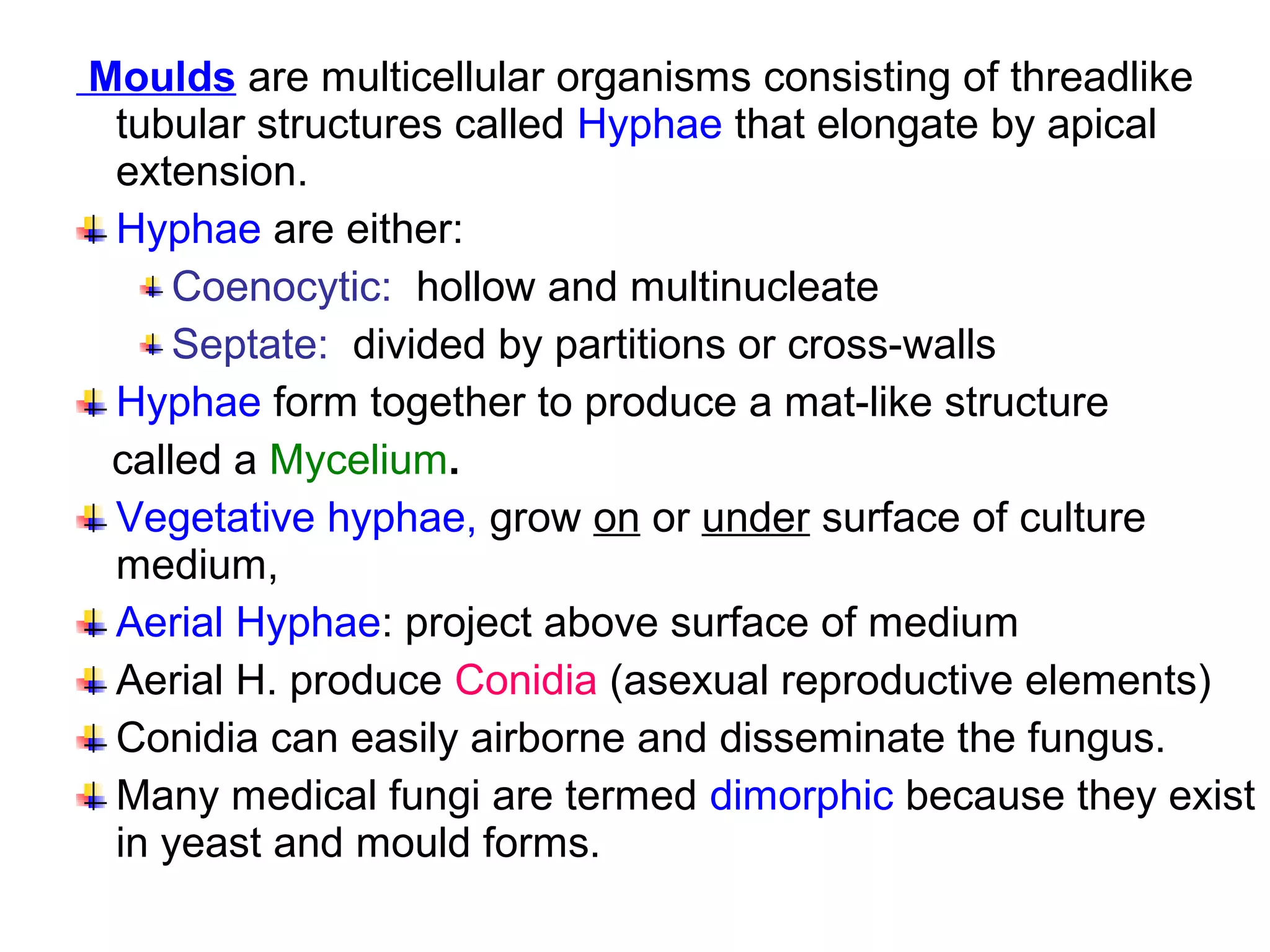 Moulds are multicellular organisms consisting of threadlike
tubular structures called Hyphae that elongate by apical
extension.
Hyphae are either:
Coenocytic: hollow and multinucleate
Septate: divided by partitions or cross-walls
Hyphae form together to produce a mat-like structure
called a Mycelium.
Vegetative hyphae, grow on or under surface of culture
medium,
Aerial Hyphae: project above surface of medium
Aerial H. produce Conidia (asexual reproductive elements)
Conidia can easily airborne and disseminate the fungus.
Many medical fungi are termed dimorphic because they exist
in yeast and mould forms.
 