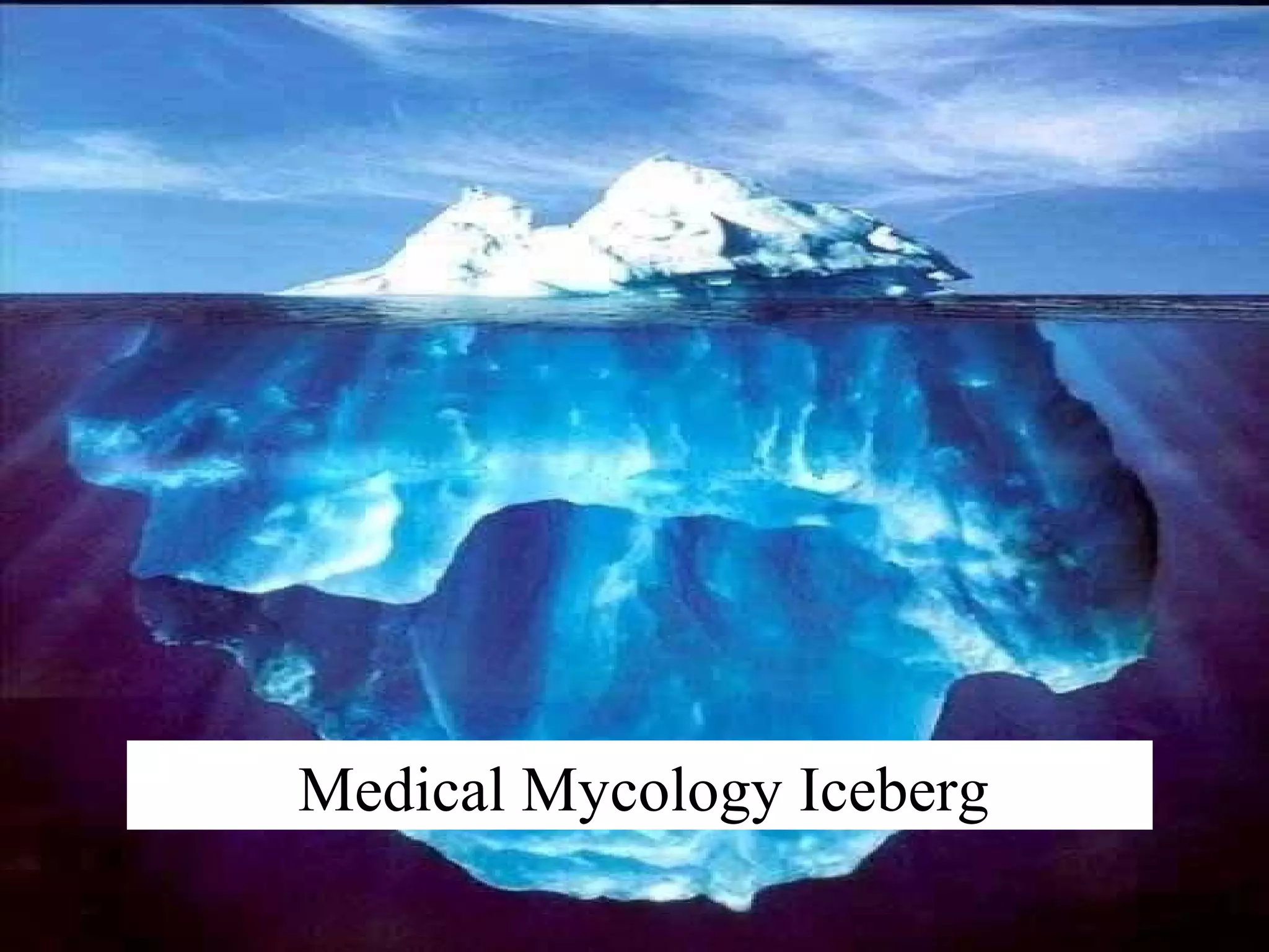 Medical Mycology Iceberg
 
