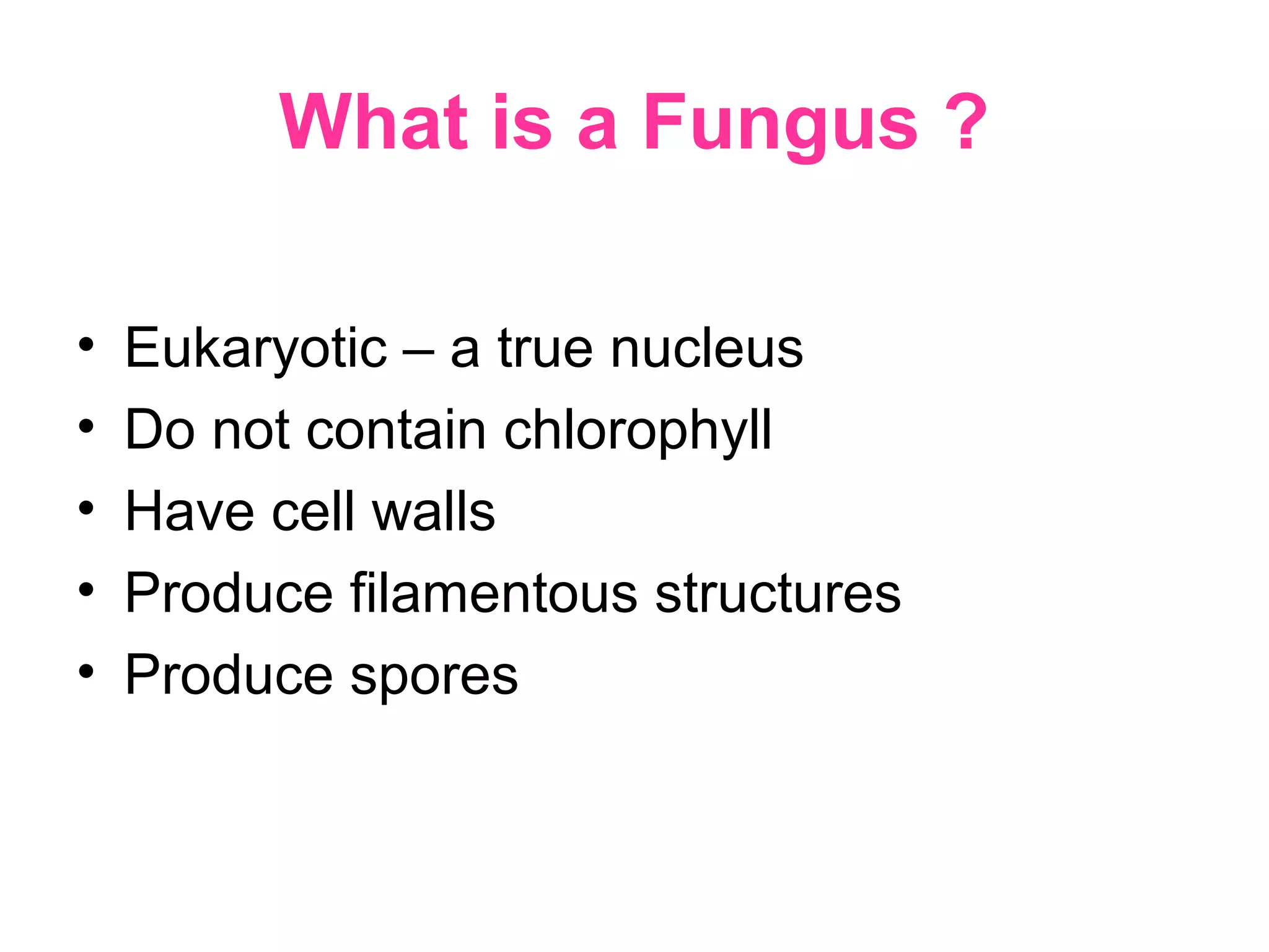 What is a Fungus ?
• Eukaryotic – a true nucleus
• Do not contain chlorophyll
• Have cell walls
• Produce filamentous structures
• Produce spores
 