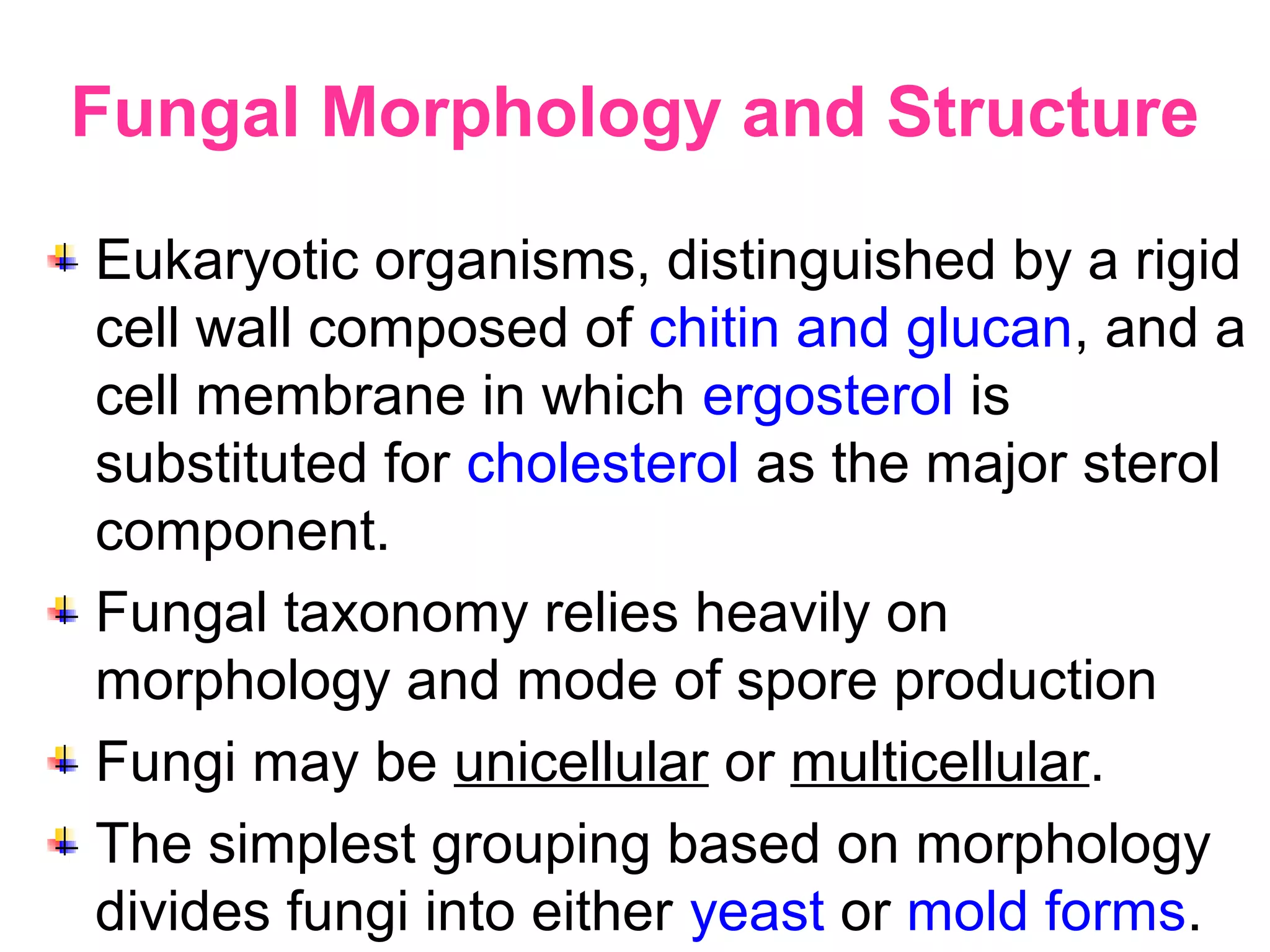 Fungal Morphology and Structure
Eukaryotic organisms, distinguished by a rigid
cell wall composed of chitin and glucan, and a
cell membrane in which ergosterol is
substituted for cholesterol as the major sterol
component.
Fungal taxonomy relies heavily on
morphology and mode of spore production
Fungi may be unicellular or multicellular.
The simplest grouping based on morphology
divides fungi into either yeast or mold forms.
 