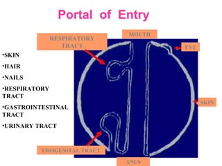 EYE
SKIN
UROGENITAL TRACT
ANUS
MOUTH
RESPIRATORY
TRACT
Portal of Entry
•SKIN
•HAIR
•NAILS
•RESPIRATORY
TRACT
•GASTROINTESTINAL
TRACT
•URINARY TRACT
 