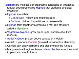 Moulds are multicellular organisms consisting of threadlike
tubular structures called Hyphae that elongate by apical
extension.
Hyphae are either:
Coenocytic: hollow and multinucleate
Septate: divided by partitions or cross-walls
Hyphae form together to produce a mat-like structure
called a Mycelium.
Vegetative hyphae, grow on or under surface of culture
medium,
Aerial Hyphae: project above surface of medium
Aerial H. produce Conidia (asexual reproductive elements)
Conidia can easily airborne and disseminate the fungus.
Many medical fungi are termed dimorphic because they exist
in yeast and mould forms.
 