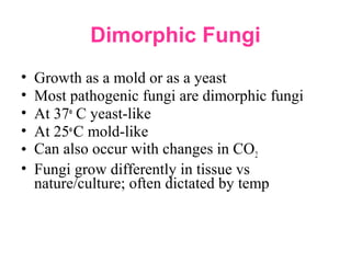 Dimorphic Fungi
• Growth as a mold or as a yeast
• Most pathogenic fungi are dimorphic fungi
• At 37o
C yeast-like
• At 25o
C mold-like
• Can also occur with changes in CO2
• Fungi grow differently in tissue vs
nature/culture; often dictated by temp
 
