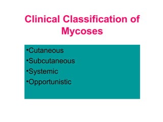 Clinical Classification of
Mycoses
•Cutaneous
•Subcutaneous
•Systemic
•Opportunistic
 