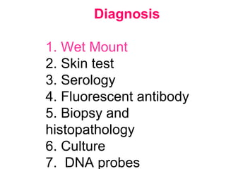 Diagnosis
1. Wet Mount
2. Skin test
3. Serology
4. Fluorescent antibody
5. Biopsy and
histopathology
6. Culture
7. DNA probes
 