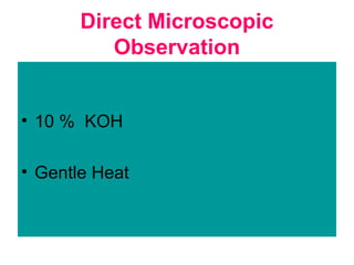 Direct Microscopic
Observation
• 10 % KOH
• Gentle Heat
 