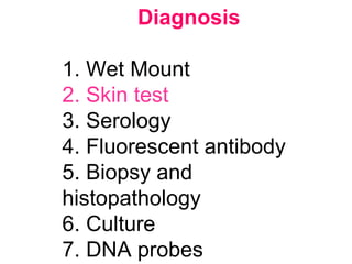 Diagnosis
1. Wet Mount
2. Skin test
3. Serology
4. Fluorescent antibody
5. Biopsy and
histopathology
6. Culture
7. DNA probes
 