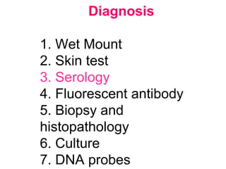 Diagnosis
1. Wet Mount
2. Skin test
3. Serology
4. Fluorescent antibody
5. Biopsy and
histopathology
6. Culture
7. DNA probes
 