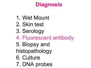 Diagnosis
1. Wet Mount
2. Skin test
3. Serology
4. Fluorescent antibody
5. Biopsy and
histopathology
6. Culture
7. DNA probes
 