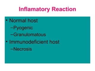 Inflamatory Reaction
• Normal host
–Pyogenic
–Granulomatous
• Immunodeficient host
–Necrosis
 