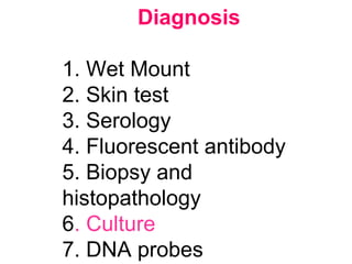 Diagnosis
1. Wet Mount
2. Skin test
3. Serology
4. Fluorescent antibody
5. Biopsy and
histopathology
6. Culture
7. DNA probes
 