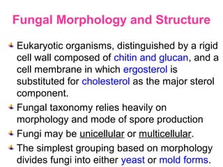 Fungal Morphology and Structure
Eukaryotic organisms, distinguished by a rigid
cell wall composed of chitin and glucan, and a
cell membrane in which ergosterol is
substituted for cholesterol as the major sterol
component.
Fungal taxonomy relies heavily on
morphology and mode of spore production
Fungi may be unicellular or multicellular.
The simplest grouping based on morphology
divides fungi into either yeast or mold forms.
 