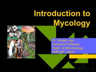 Introduction to
Mycology
Dr. Dinesh Jain
Assistant Professor
Deptt. of Microbiology
SMS MC Jaipur
 