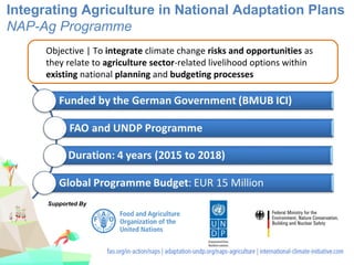 Integrating Agriculture in National Adaptation Plans
NAP-Ag Programme
Objective | To integrate climate change risks and opportunities as
they relate to agriculture sector-related livelihood options within
existing national planning and budgeting processes
Supported By
 