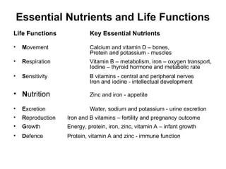 Nutrient Function Overview Comprehensive Introduction to Nutrition: Essential Nutrients and Their ...