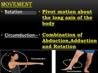 Introduction of anatomy | PDF
