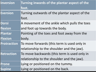 Introduction of anatomy | PDF