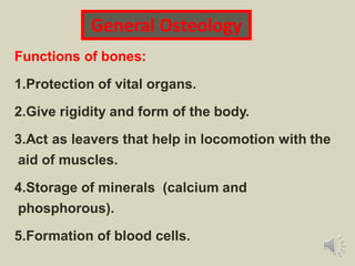 General Osteology
Functions of bones:
1.Protection of vital organs.
2.Give rigidity and form of the body.
3.Act as leavers that help in locomotion with the
aid of muscles.
4.Storage of minerals (calcium and
phosphorous).
5.Formation of blood cells.
 