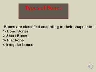 Types of Bones
Bones are classified according to their shape into :
1- Long Bones
2-Short Bones
3- Flat bone
4-Irregular bones
 