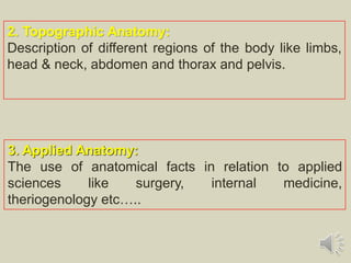 3. Applied Anatomy:
The use of anatomical facts in relation to applied
sciences like surgery, internal medicine,
theriogenology etc…..
2. Topographic Anatomy:
Description of different regions of the body like limbs,
head & neck, abdomen and thorax and pelvis.
 