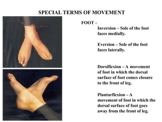 Inversion Leg Example Introduction_of_anatomy.pptx