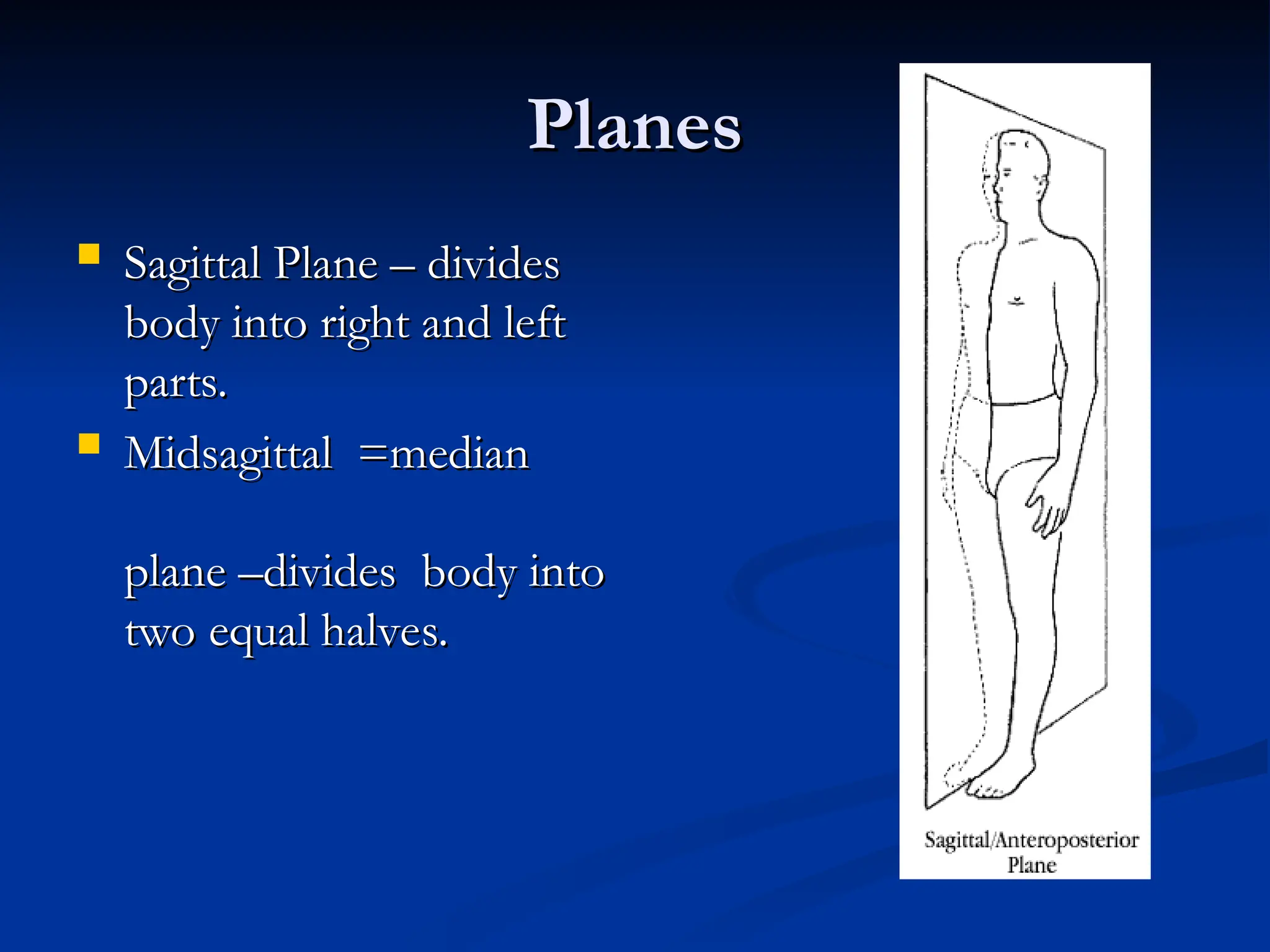 Planes
Planes
 Sagittal Plane – divides
Sagittal Plane – divides
body into right and left
body into right and left
parts.
parts.
 Midsagittal =median
Midsagittal =median
plane –divides body into
plane –divides body into
two equal halves.
two equal halves.
 