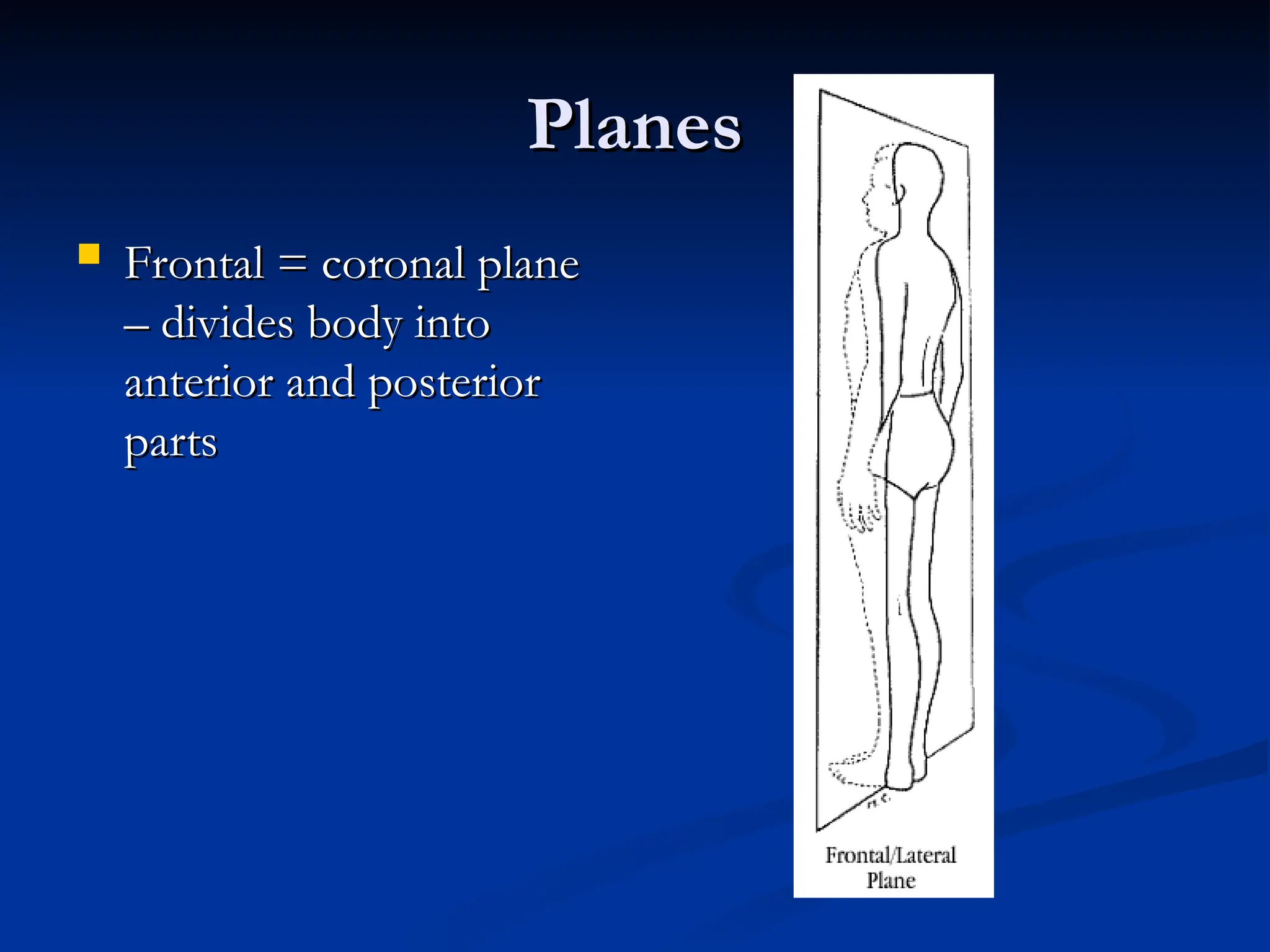 Planes
Planes
 Frontal = coronal plane
Frontal = coronal plane
– divides body into
– divides body into
anterior and posterior
anterior and posterior
parts
parts
 