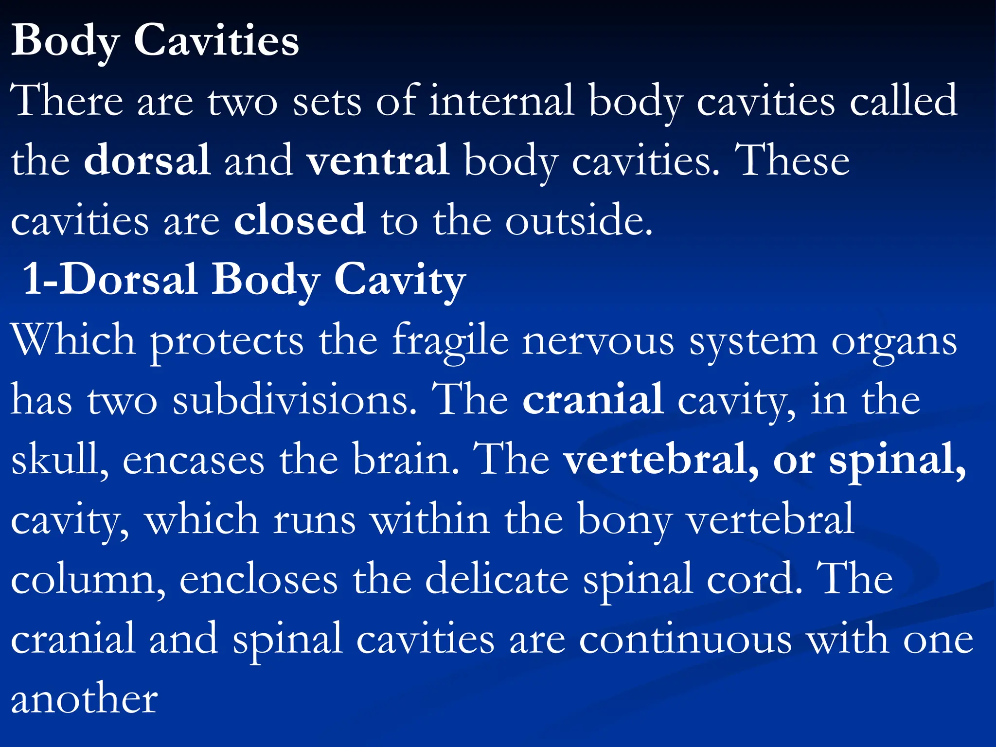 Body Cavities
There are two sets of internal body cavities called
the dorsal and ventral body cavities. These
cavities are closed to the outside.
1-Dorsal Body Cavity
Which protects the fragile nervous system organs
has two subdivisions. The cranial cavity, in the
skull, encases the brain. The vertebral, or spinal,
cavity, which runs within the bony vertebral
column, encloses the delicate spinal cord. The
cranial and spinal cavities are continuous with one
another
 