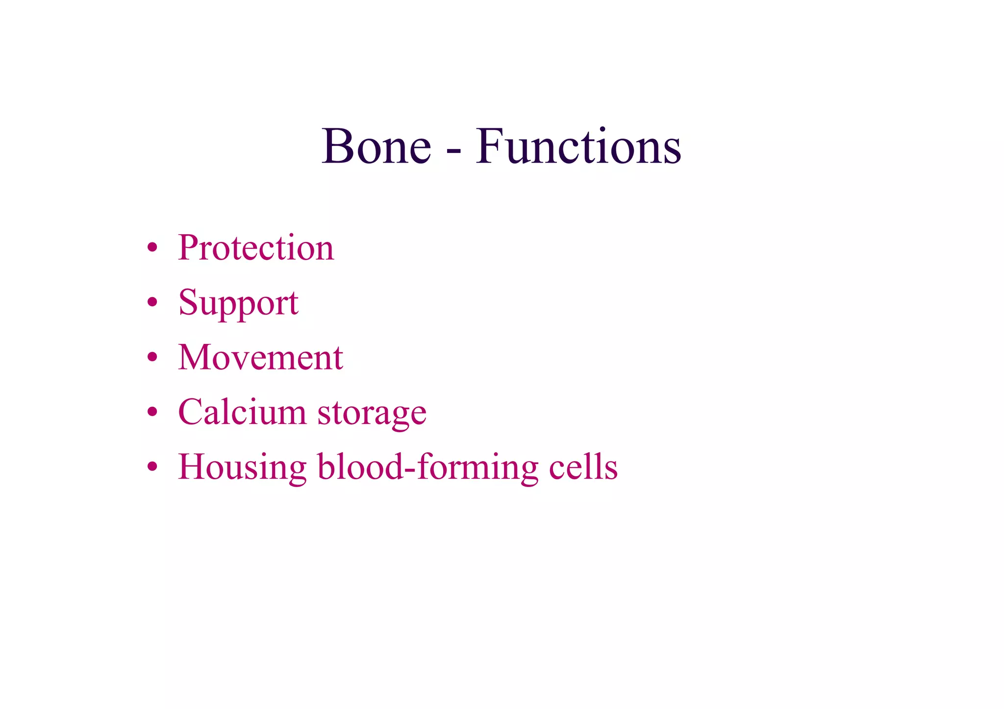 Bone - Functions
•   Protection
•   Support
•   Movement
•   Calcium storage
•   Housing blood-forming cells
 