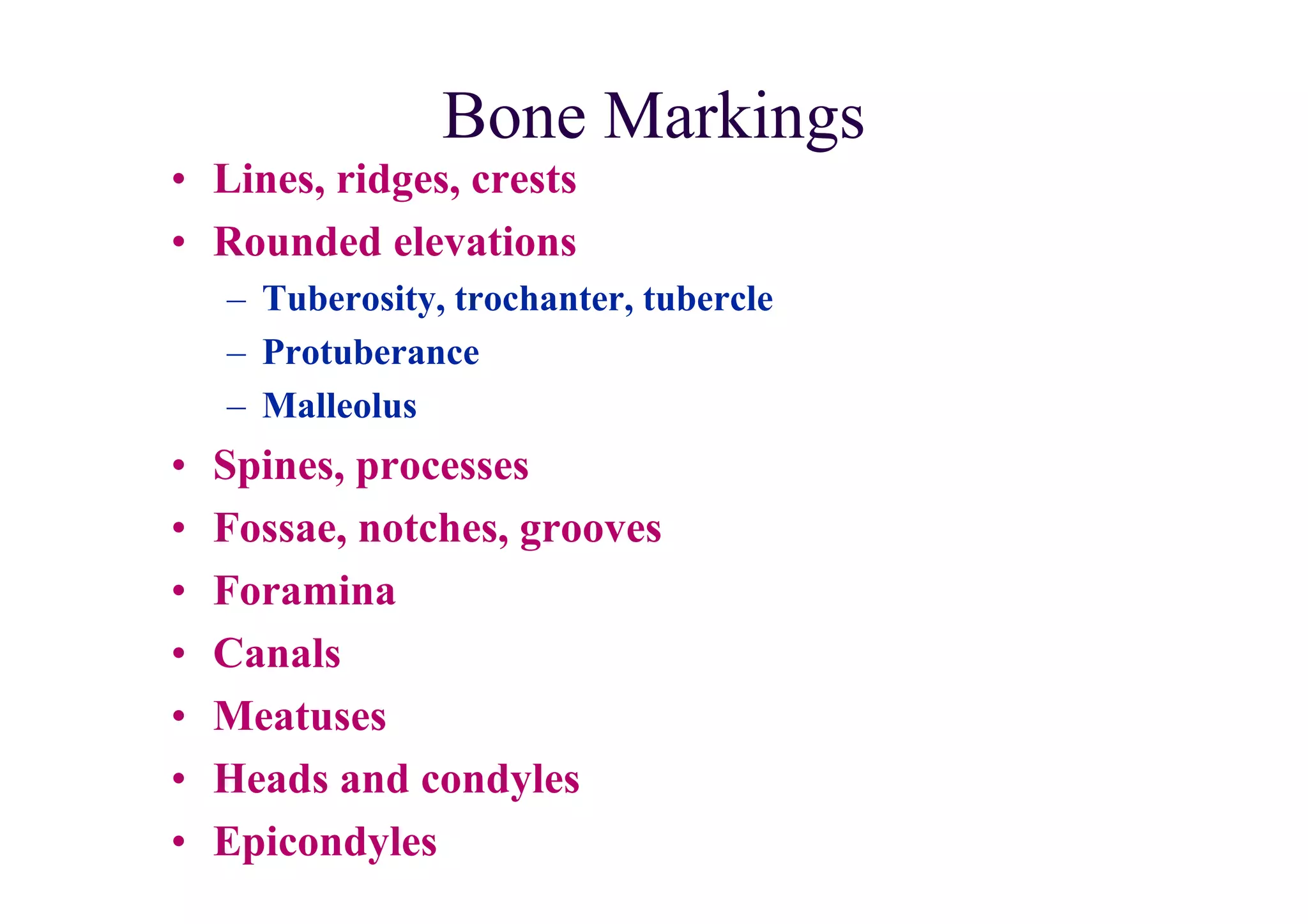 Bone Markings
• Lines, ridges, crests
• Rounded elevations
    – Tuberosity, trochanter, tubercle
    – Protuberance
    – Malleolus
•   Spines, processes
•   Fossae, notches, grooves
•   Foramina
•   Canals
•   Meatuses
•   Heads and condyles
•   Epicondyles
 