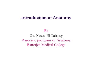 Introduction of Anatomy

              By
    Dr, Noura El Tahawy
Associate professor of Anatomy
   Batterjee Medical College
 