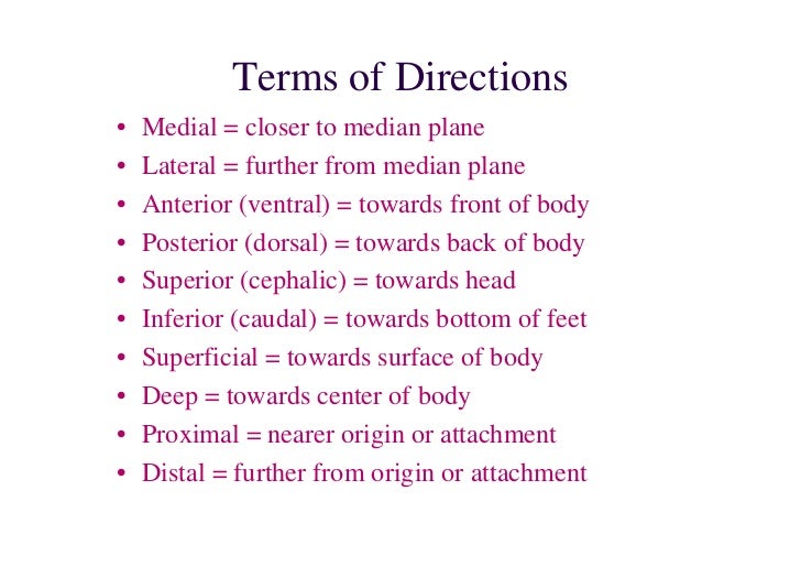 Introduction of anatomy lecture1 dr. noura