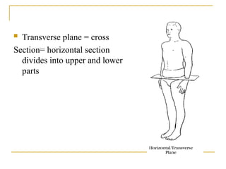 INTRODUCTION OF ANATOMY & PHYSIOLOGY.ppt