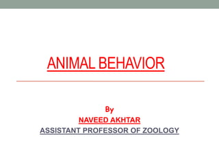 ANIMAL BEHAVIOR
By
NAVEED AKHTAR
ASSISTANT PROFESSOR OF ZOOLOGY
 