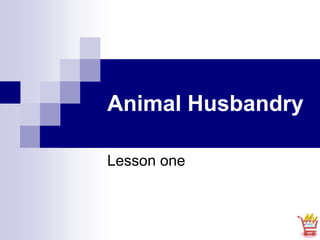 Animal Husbandry
Lesson one
 