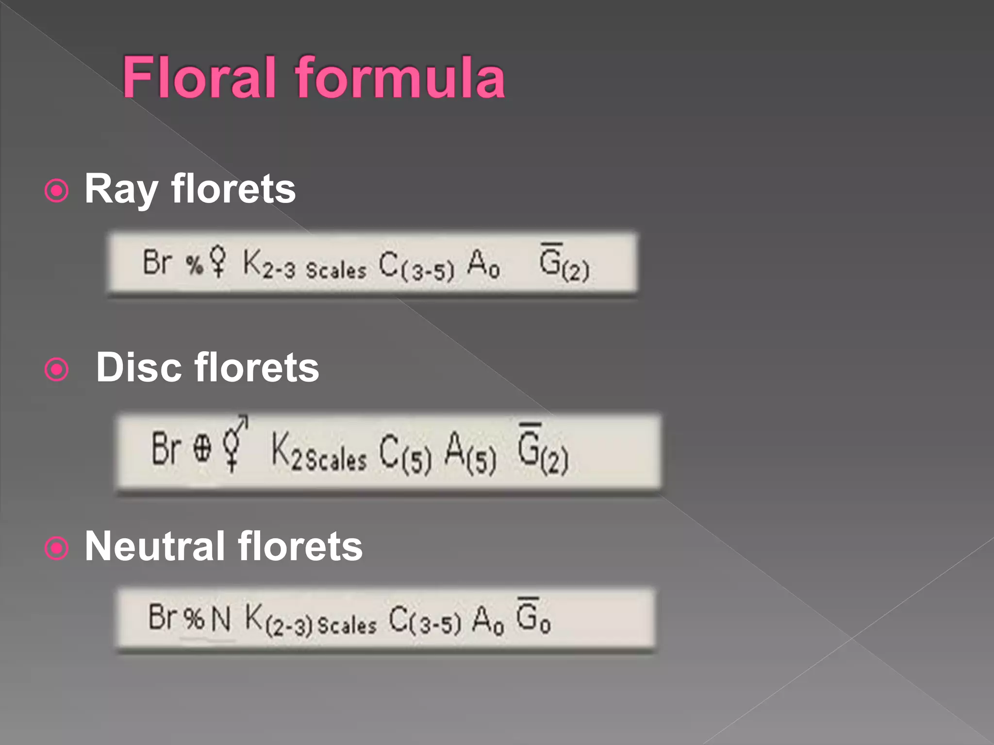  Ray florets
 Disc florets
 Neutral florets
 