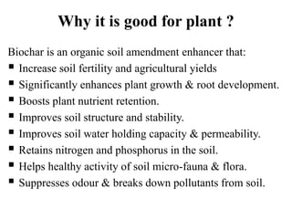 Introduction of biochar | PPTX