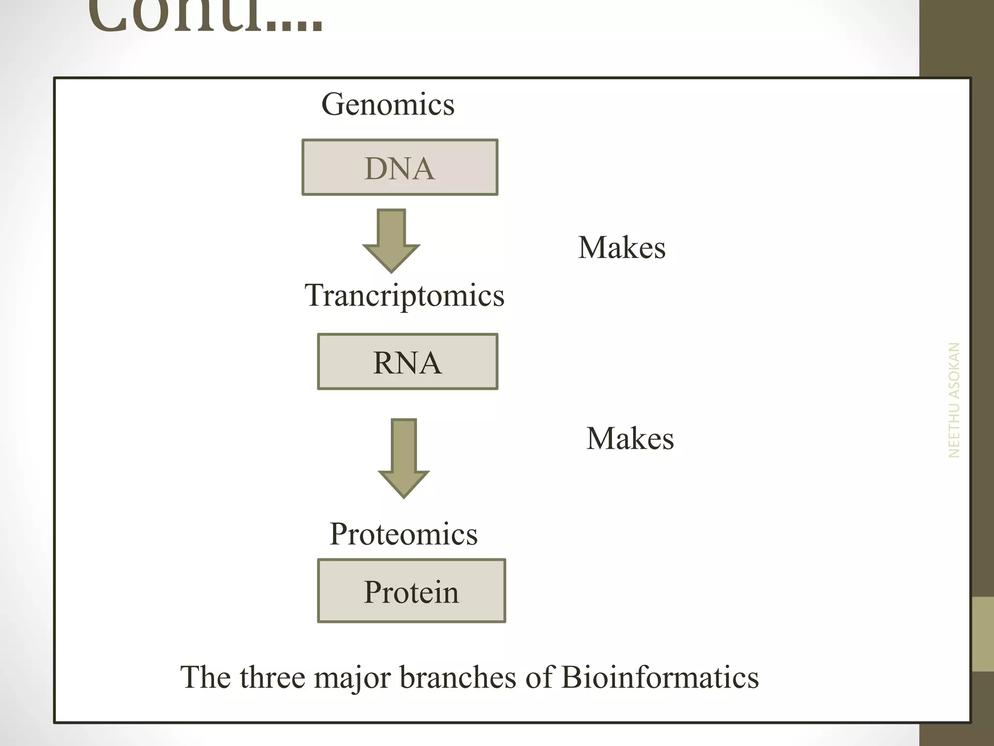 Conti....
Genomics
Makes
Trancriptomics
Makes
Proteomics
The three major branches of Bioinformatics
DNA
RNA
Protein
NEETHUASOKAN
 