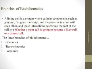 Branches of Bioinformatics
• A living cell is a system where cellular components such as
genome, the gene transcript, and the proteins interact with
each other, and these interactions determine the fact of the
cell. e.g Whether a stem cell is going to become a liver cell
or a cancer cell.
The three branches of bioinformatcs...
1. Genomics
2. Transcriptomics
3. Poteomics
NEETHUASOKAN
 