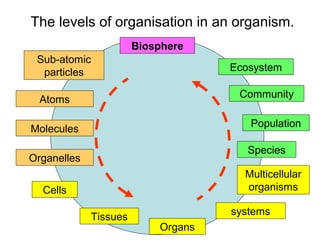 Introduction of biology (biology form 4) | PPT