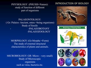 INTRODUCTION OF BIOLOGYPHYSIOLOGY (PHUSIS=Nature):
study of function of different
part of organisms
PALAEONTOLOGY:
( Gr: Palaios- Ancient, ontos =being organisms)
Study of fossile
- -PALAEOBOTANY
-PALAEOZOOLOGY
MORPHLOGY: (Gr:Morphe =Form)
The study of external structural
characteristics of plants and animals.
MICROBIOLOGY: GR: Micro – very small)
Study of Microscopic
organisms
such as virus, bacteria etc.
 