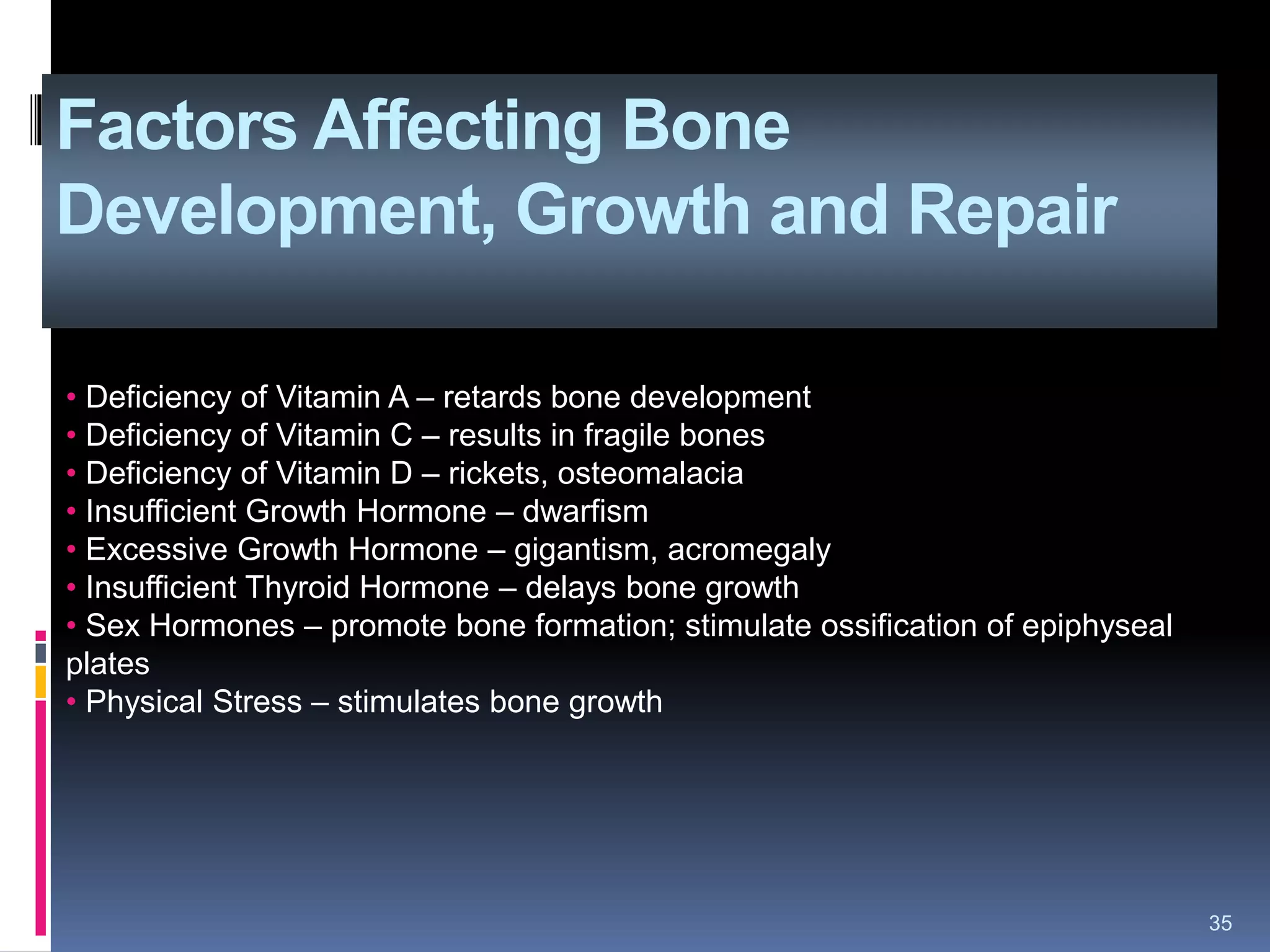 Factors Affecting Bone
Development, Growth and Repair
35
• Deficiency of Vitamin A – retards bone development
• Deficiency of Vitamin C – results in fragile bones
• Deficiency of Vitamin D – rickets, osteomalacia
• Insufficient Growth Hormone – dwarfism
• Excessive Growth Hormone – gigantism, acromegaly
• Insufficient Thyroid Hormone – delays bone growth
• Sex Hormones – promote bone formation; stimulate ossification of epiphyseal
plates
• Physical Stress – stimulates bone growth
 