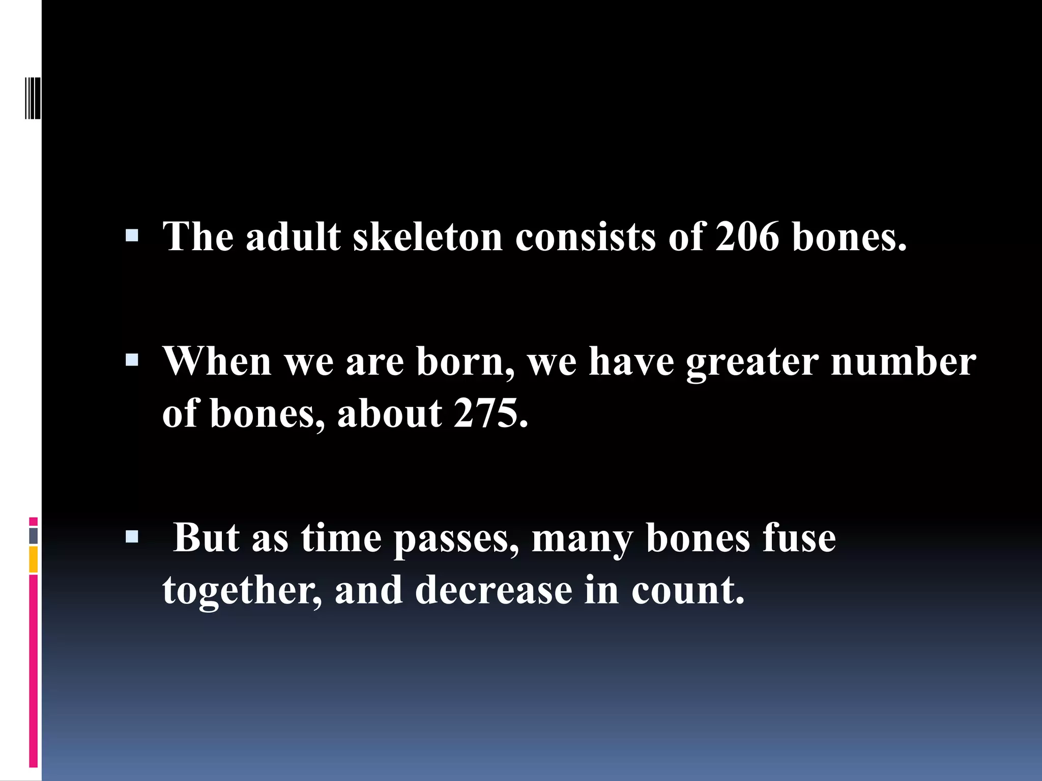  The adult skeleton consists of 206 bones.
 When we are born, we have greater number
of bones, about 275.
 But as time passes, many bones fuse
together, and decrease in count.
 