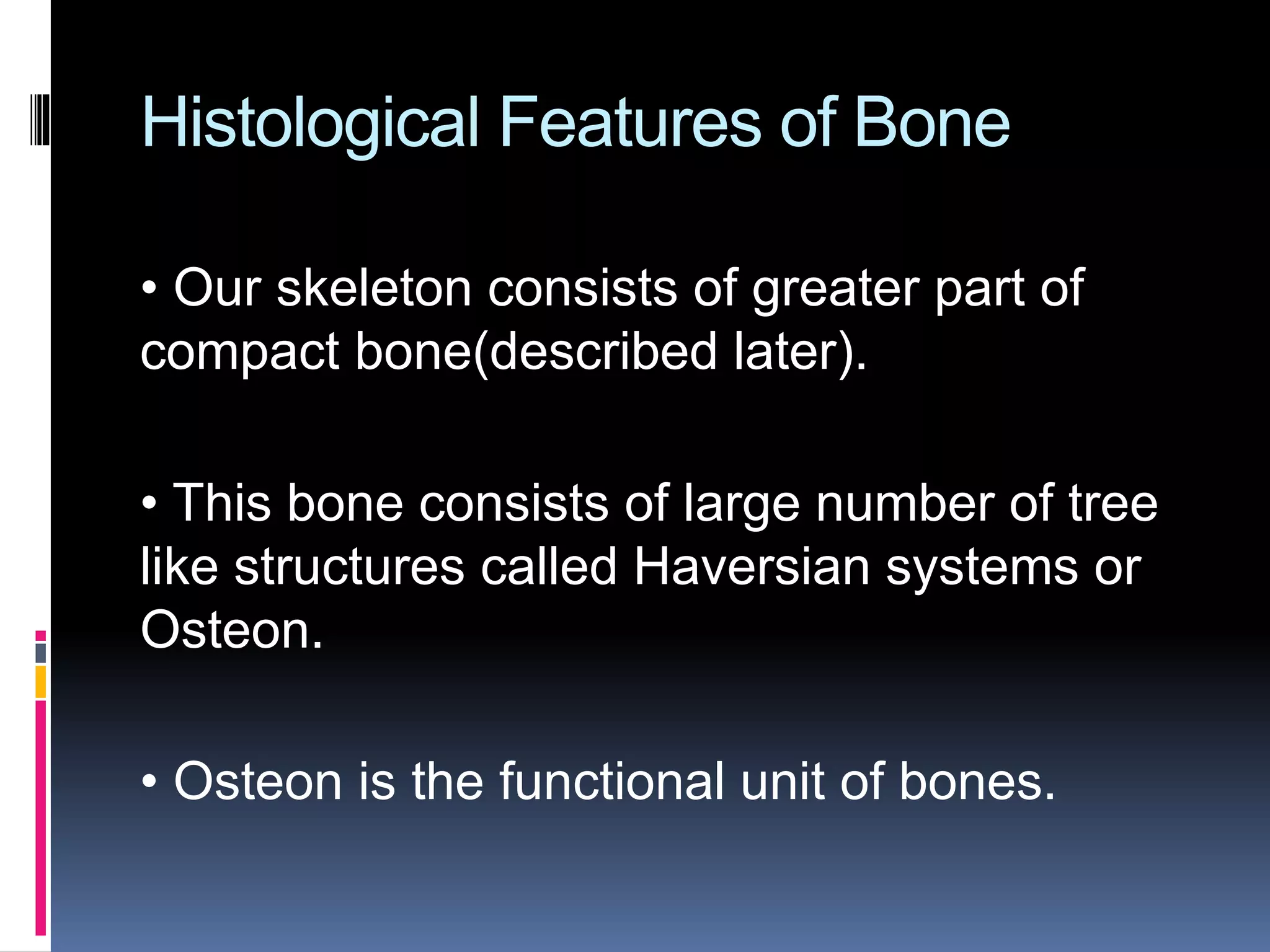 Histological Features of Bone
• Our skeleton consists of greater part of
compact bone(described later).
• This bone consists of large number of tree
like structures called Haversian systems or
Osteon.
• Osteon is the functional unit of bones.
 