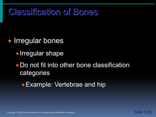 Introduction of bones, types, structure | PPTX