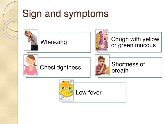 Bacterial Might Be The Cause Of Bronchitis