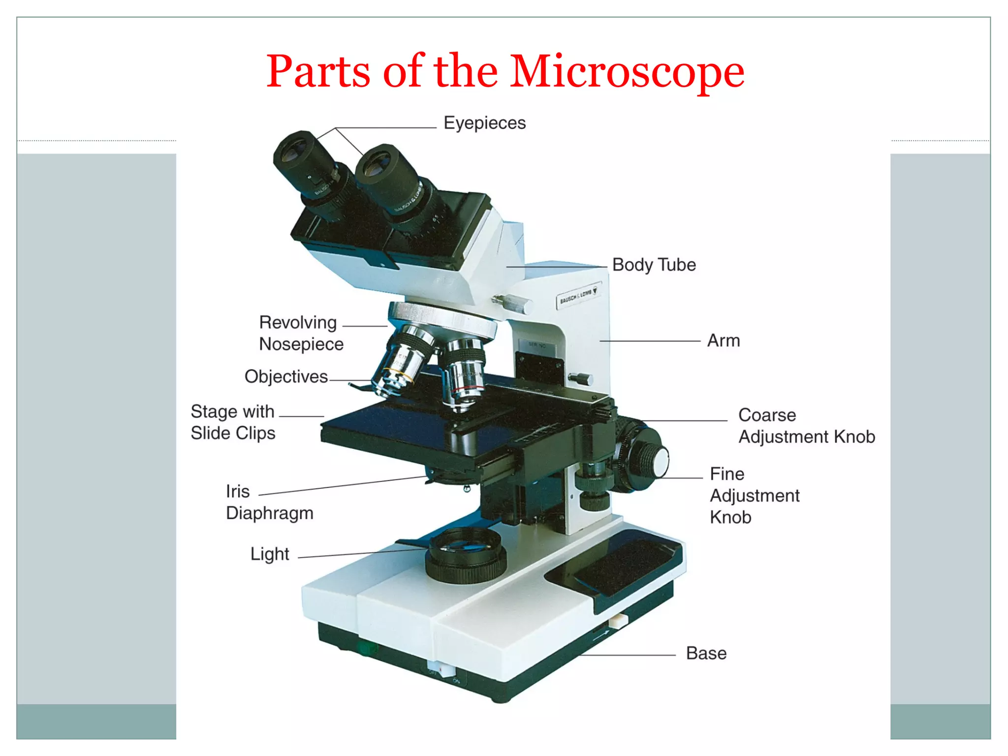 Parts of the Microscope
 