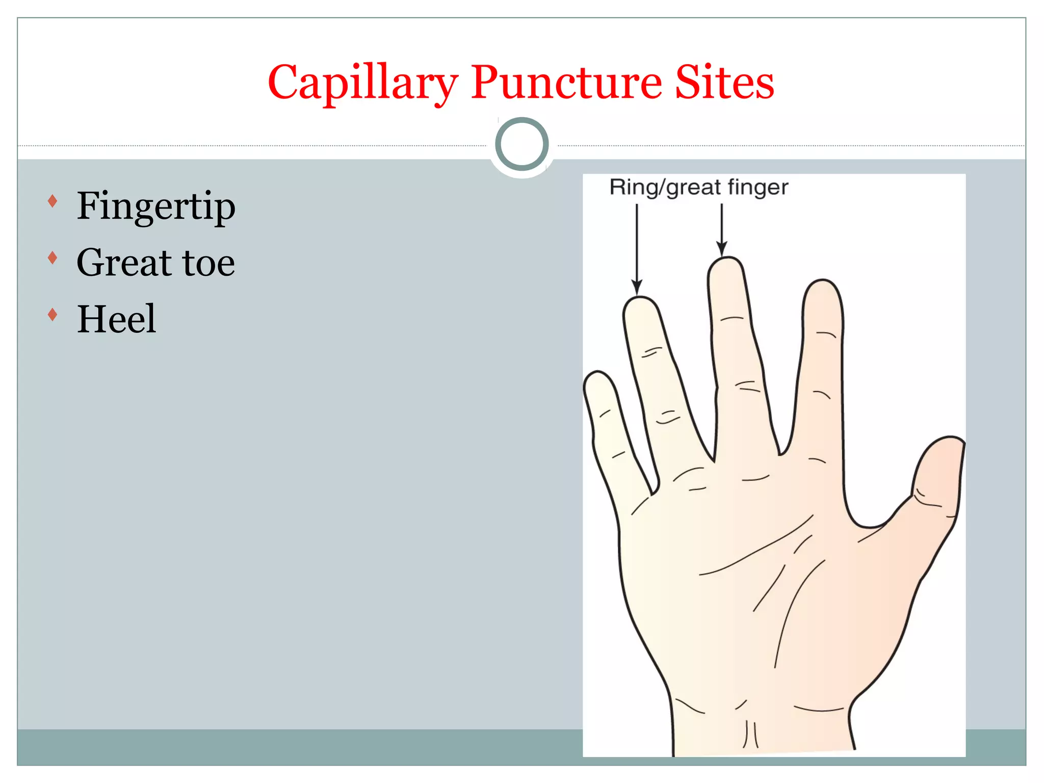 Capillary Puncture Sites
 Fingertip
 Great toe
 Heel
 