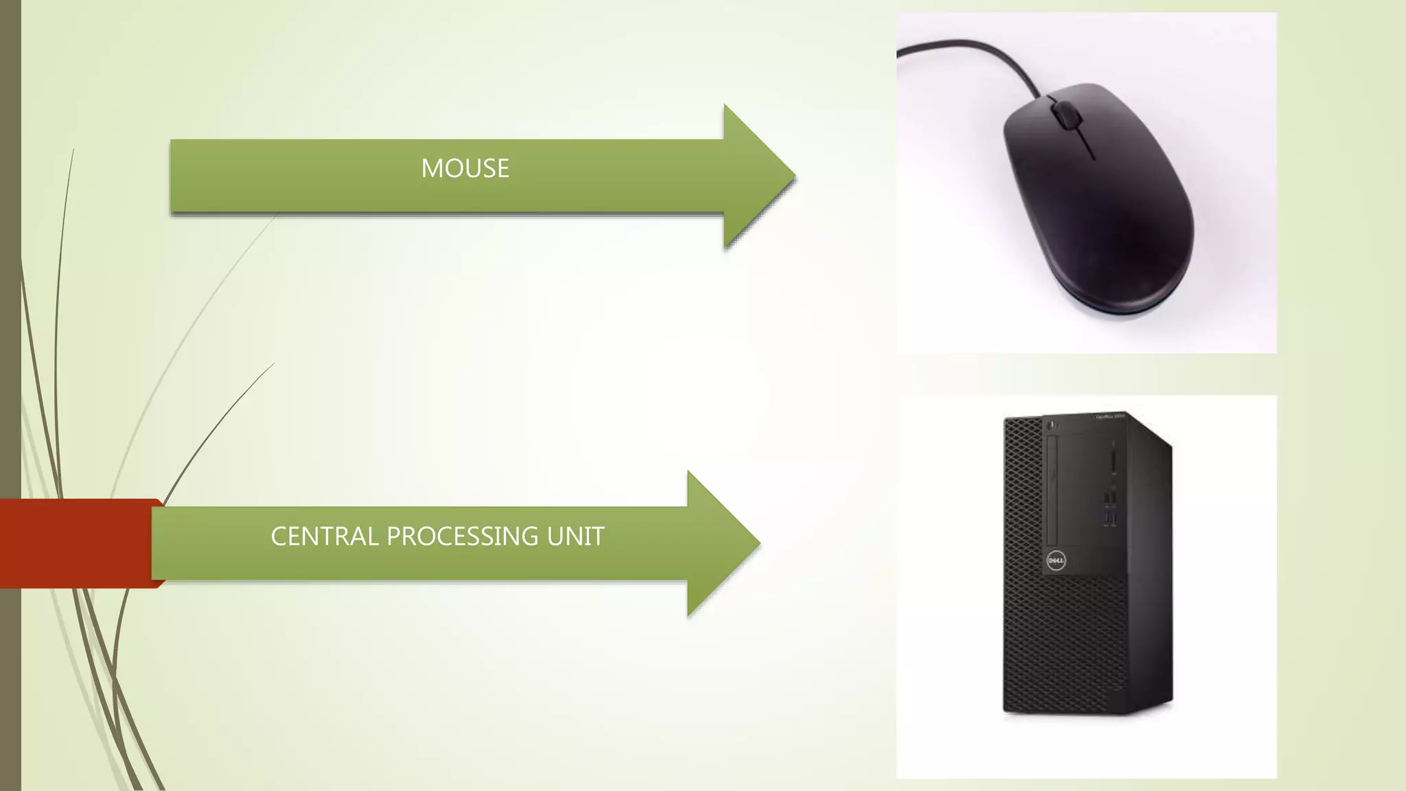 MOUSE
CENTRAL PROCESSING UNIT
 